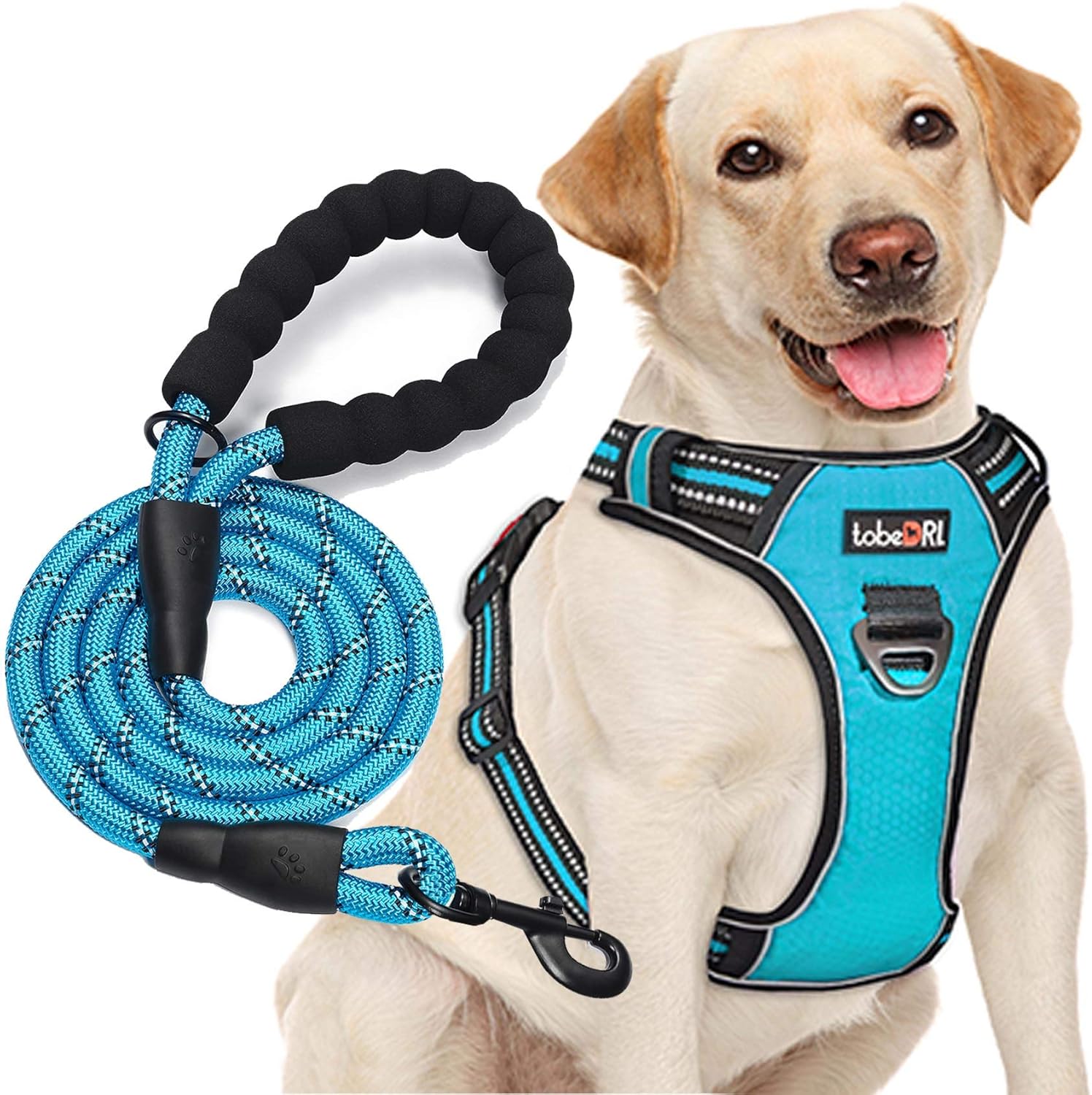 Easy No-Pull Dog Harness Set