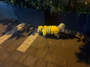 Aff9686d3ead040078256d1b8358ab50ab.jpeg