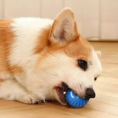 Smart Bouncing Dog Ball