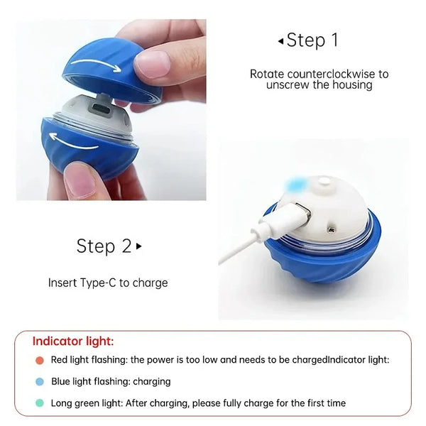 Smart Bouncing Dog Ball