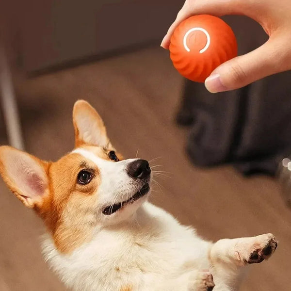Smart Bouncing Dog Ball