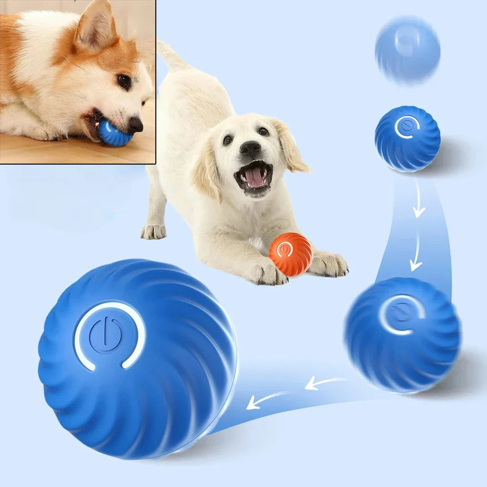 Smart Bouncing Dog Ball