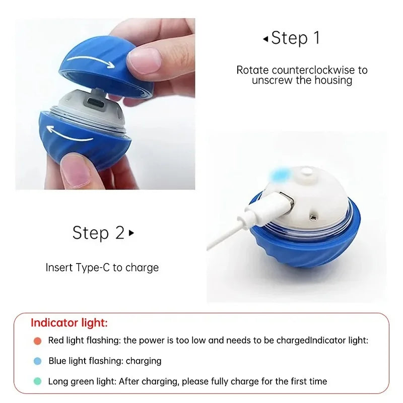 Smart Bouncing Dog Ball