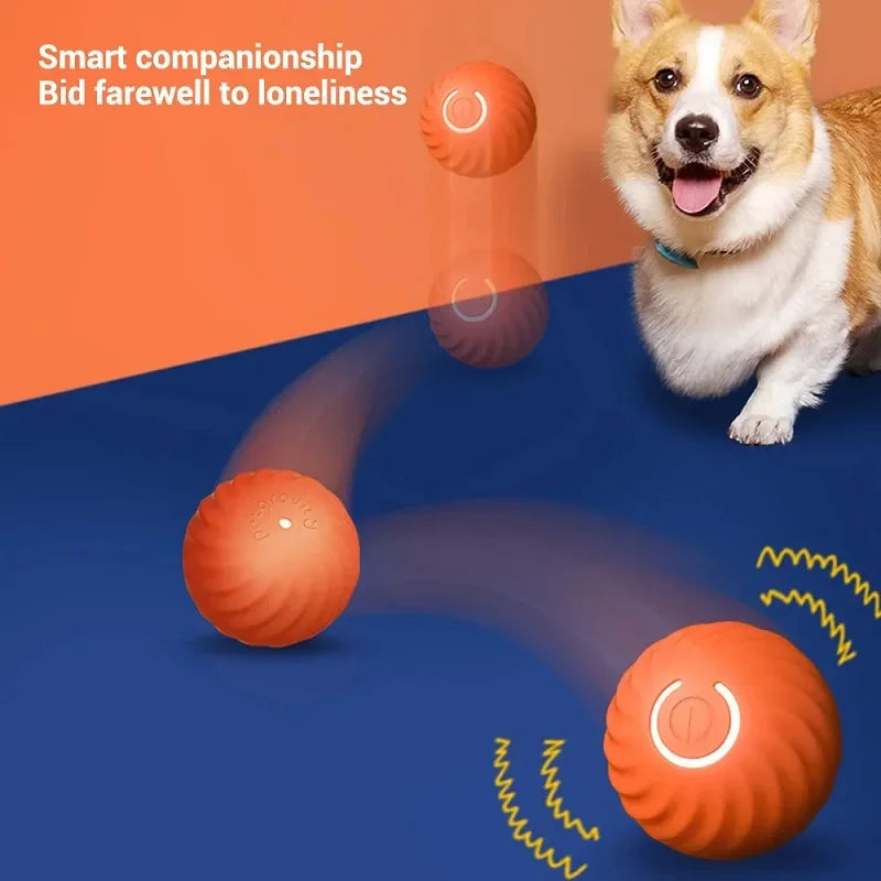 Smart Bouncing Dog Ball