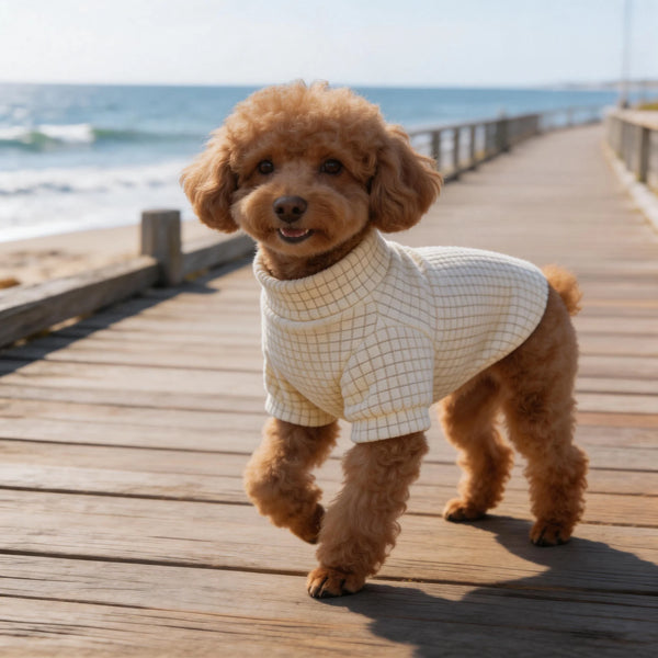 Pet-Dog-Clothes-Soft-Warm-Cat-Shirt-Chihuahua-Dog-Sweatshirt.jpg