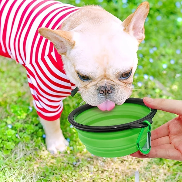 Portable-Pet-Food-Bowl-Durable-TPR-Bowl-Cat-and-Dog-Food-Pet-Silicone-Collapsible-Bowl-Portable.jpg