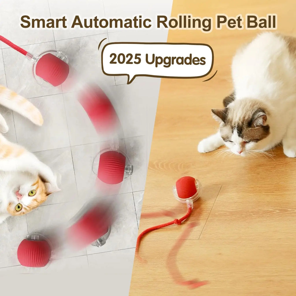 Smart Rolling Cat Toy Ball — Auto-Spinning with Feather Tail