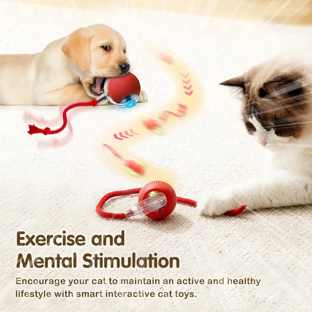 Smart Rolling Cat Toy Ball — Auto-Spinning with Feather Tail