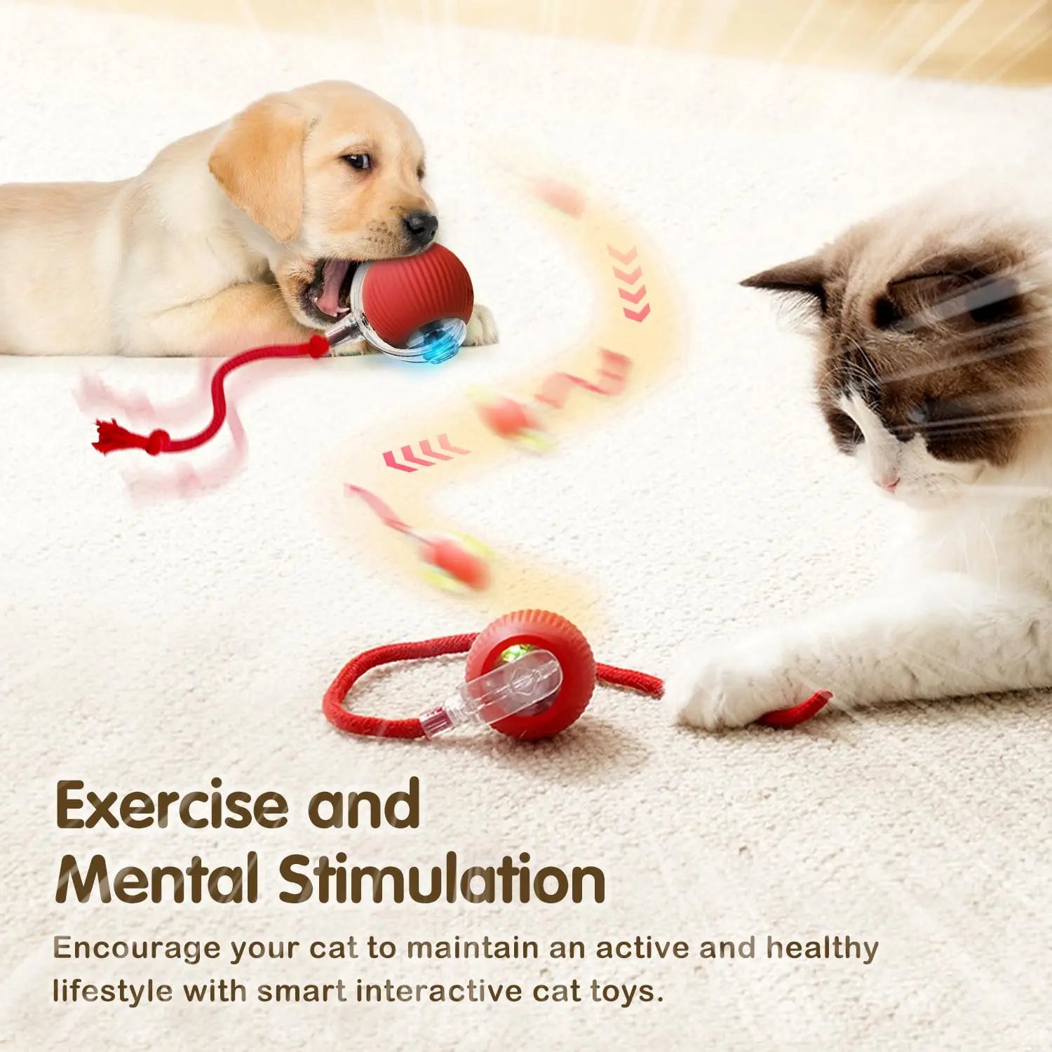 Smart Rolling Cat Toy Ball — Auto-Spinning with Feather Tail