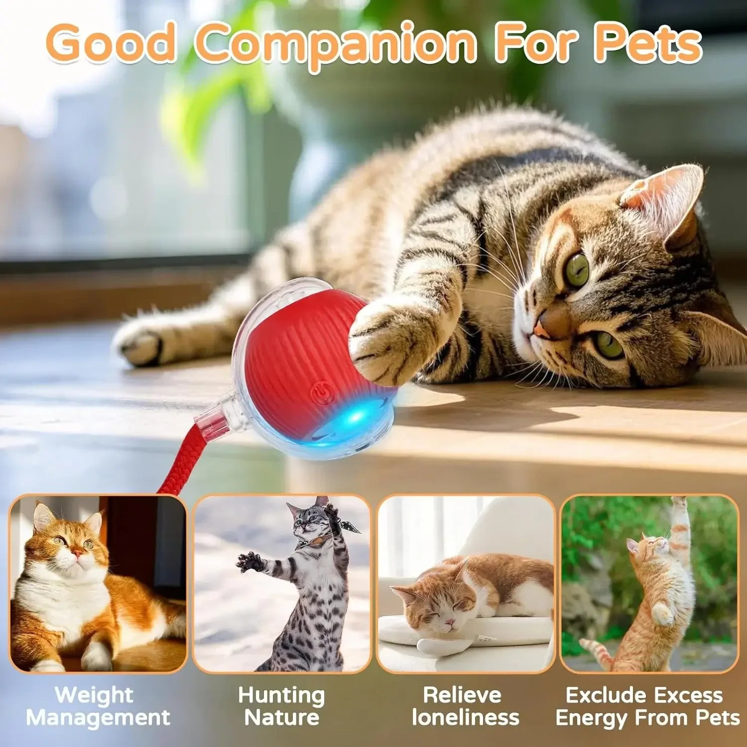 Smart Cat Play Ball