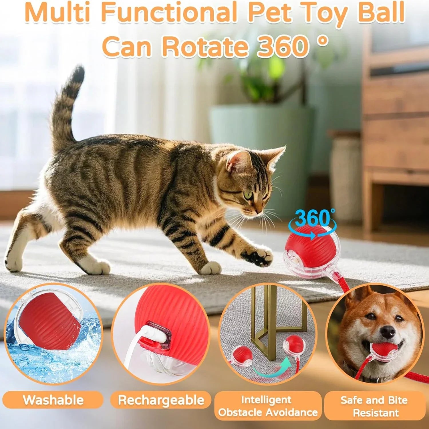 Smart Cat Play Ball