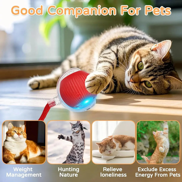 iLMH-Cat-Interactive-Ball-Toy-Automatic-Rolling-Ball-Faux-Tail-Rechargeable-Smart-Pet-Electric-Toy-Pet.jpg